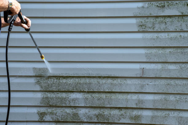 Best Siding for Commercial Buildings  in Halifax, VA