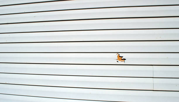Best Historical Building Siding Restoration  in Halifax, VA