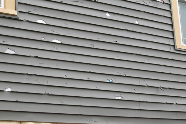 Best Fascia and Soffit Installation  in Halifax, VA