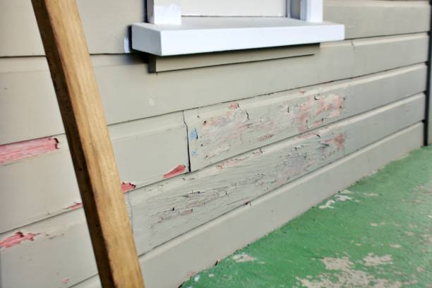 Best Historical Building Siding Restoration  in Halifax, VA