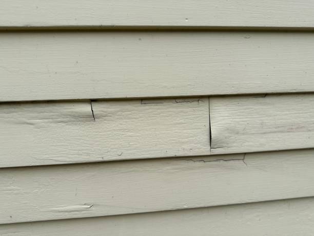 Best Fascia and Soffit Installation  in Halifax, VA